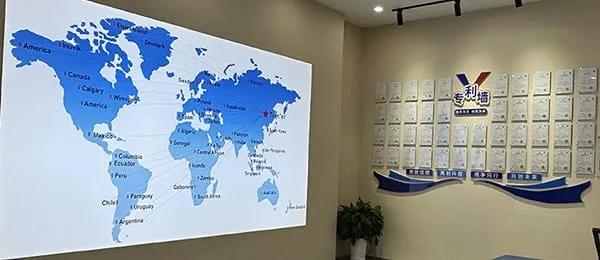 Company Profile