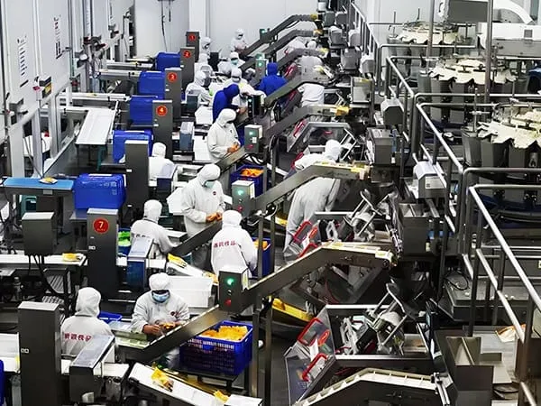 Food Processing