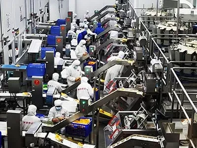 Food Processing