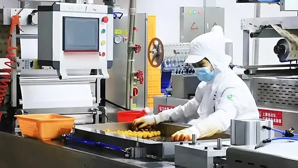 Food Processing