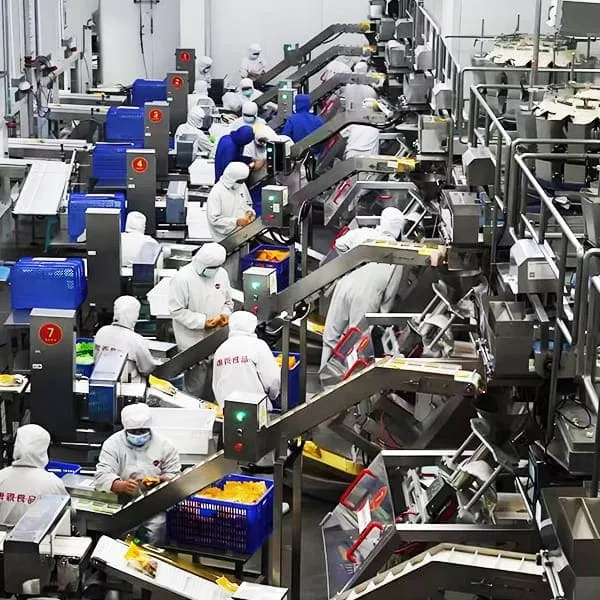 Food Processing